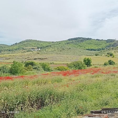 카잘라데라시에라 Casa El Azahin 게스트하우스 객실 사진