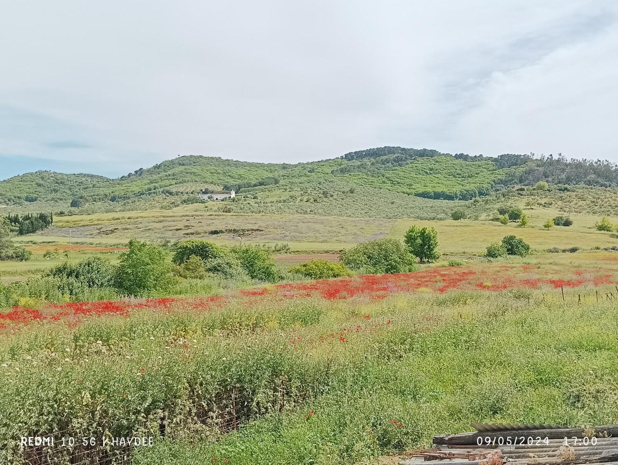 카잘라데라시에라 Casa El Azahin 게스트하우스 객실 사진